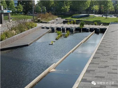 奧利仕大型魚池過濾器 奧利仕 在線咨詢 內蒙古魚池過濾器