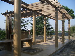 廣州同欣 木塑型材賦能康體設備，引領綠色運動新潮流